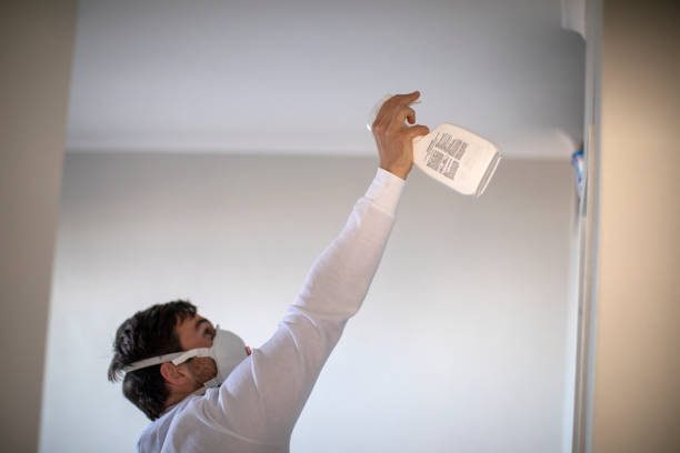 Certified Mold Removal in Belleville, MI